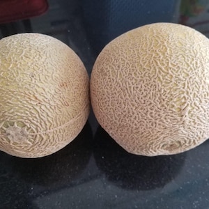 Peut inclure: Deux melons cantaloups mûrs à la peau rugueuse et texturée. Les melons sont de couleur brun clair et reposent sur une surface noire.