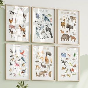 Set of 6 Educational Posters • Kids Animal Posters • Classroom Decor • Playroom Learning Prints • Nursery Wall Art • DIGITAL DOWNLOAD •