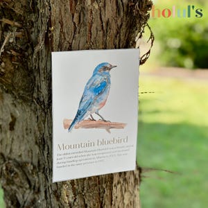 American Birds Cards •Birds Printable Flashcards •Birds Poster •Montessori Materials Printable •Homeschool Learning •BIRDS Watercolor