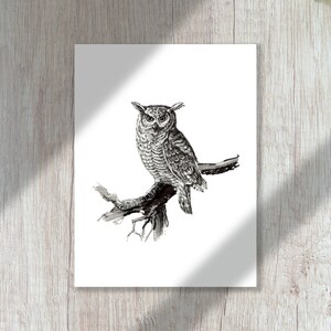 Stampa artistica dell'illustrazione "Howl" | arte animale, giclée, decorazione casa, idea regalo, wall art, black ink