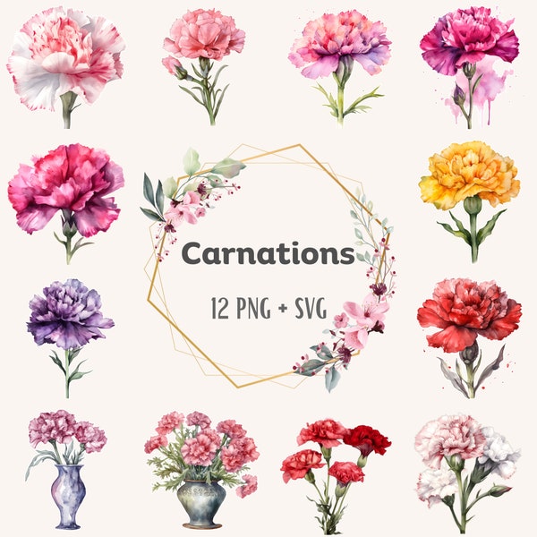 Watercolor Carnations Clipart, 300 dpi Transparent PNG & SVG, Floral Card Decoration, Happy Mother's Day, Flower Scrapbook, Commercial Use