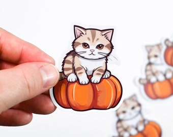 Pegatina gato sobre calabaza Halloween otoño kawaii | regalo para halloween pegatina para ordenador portátil, libro, puerta, teléfono