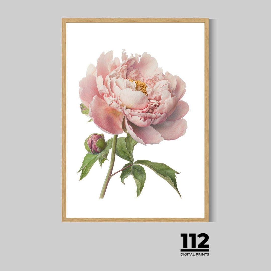 Soft Pink Peony Printable Art, Flowers Collection, Digital Print ...