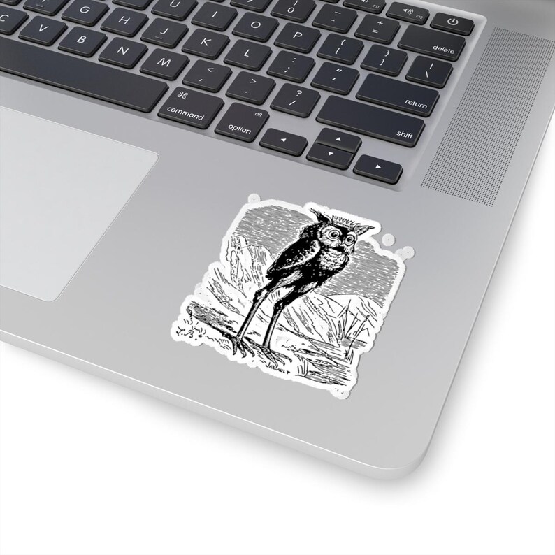 Stolas Sticker, Ars Goetia Demon, Lesser Key of Solomon, Dictionnaire Infernal Engraving, Occult Dark Academia Vinyl Decal 3"x3" Bild 2