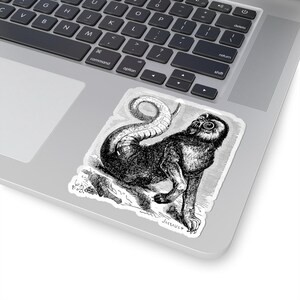 Amon Sticker, Ars Goetia Demon, Lesser Key of Solomon, Dictionnaire Infernal Engraving, Occult Dark Academia Vinyl Decal 3"x3" Bild 5