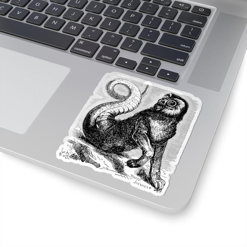 Amon Sticker, Ars Goetia Demon, Lesser Key of Solomon, Dictionnaire Infernal Engraving, Occult Dark Academia Vinyl Decal 3"x3" Bild 5