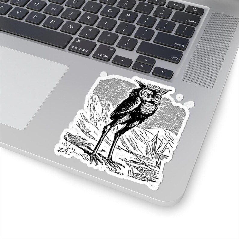 Stolas Sticker, Ars Goetia Demon, Lesser Key of Solomon, Dictionnaire Infernal Engraving, Occult Dark Academia Vinyl Decal 3"x3" Bild 5