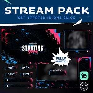 Vandalism Expression Animated Stream Package-Twitch Graphic Gaming Overlay/Twitch Overlay/Modern Futuristic Design/Graffiti Art/Pink Blue