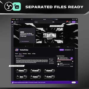 Blizle Animated Twitch Overlay Package Bundle/Abstract Theme/Transition/Dark Theme/Modern Futuristic Design/Black White/Streamer Package image 7