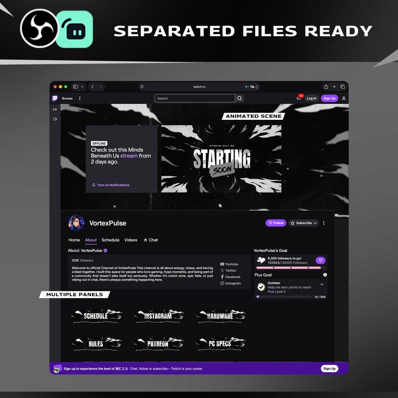 Blizle Animated Twitch Overlay Package Bundle/Abstract Theme/Transition/Dark Theme/Modern Futuristic Design/Black White/Streamer Package image 7