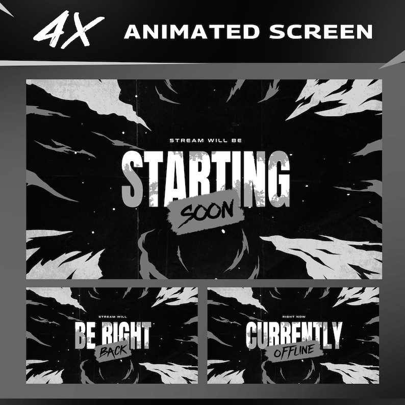 Blizle Animated Twitch Overlay Package Bundle/Abstract Theme/Transition/Dark Theme/Modern Futuristic Design/Black White/Streamer Package image 2