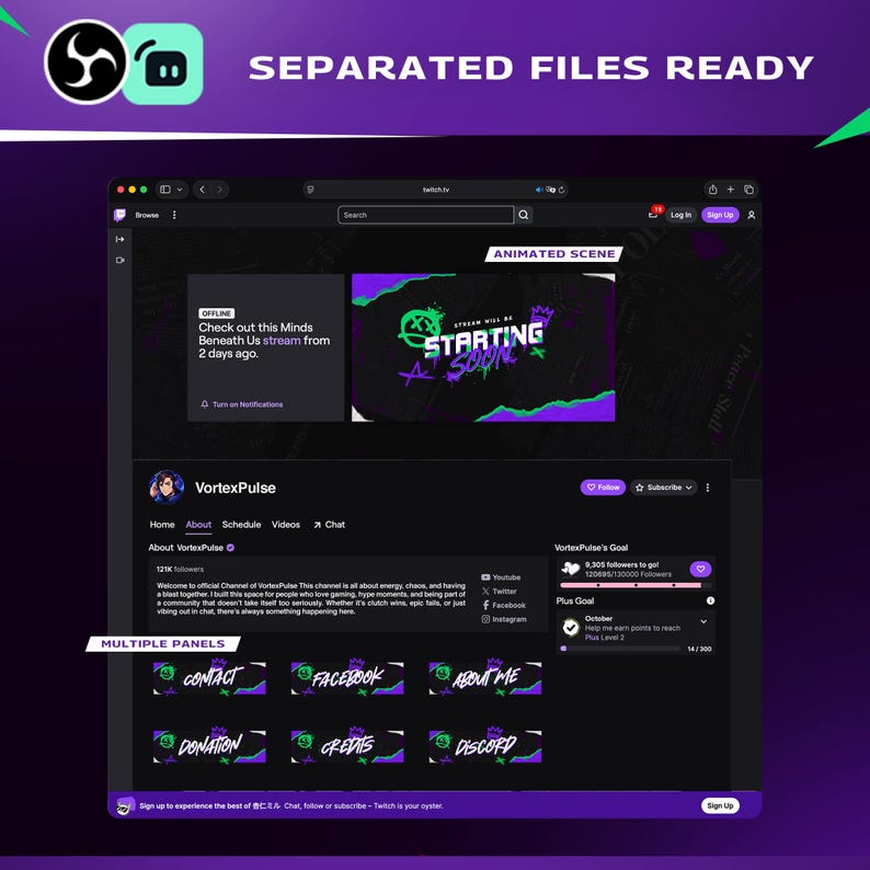 Grunge Gaming Twitch Overlay | Ripped Paper Animated Pack | Twitch YouTube Kick | Panels Alerts Transitions | OBS Streamlabs image 7