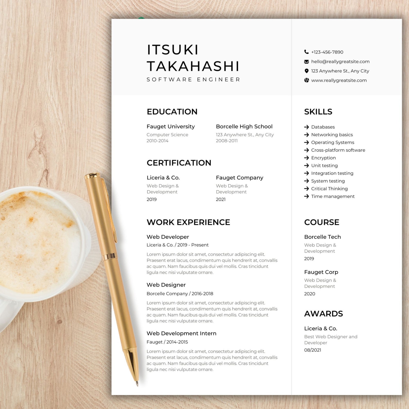 Software Engineer Resume Template Canva Resume Template Without Photo