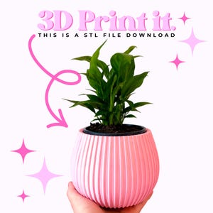 May include: A light pink, ribbed, spherical planter containing a green leafy plant. The text 3D Print it. THIS IS A STL FILE DOWNLOAD is displayed at the top with pink star graphics and a pink arrow pointing toward the planter.