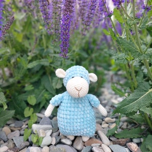 Crochet Pattern Little Sheep: Easy Amigurumi  tutorial for Beginners - PDF in English, Digital