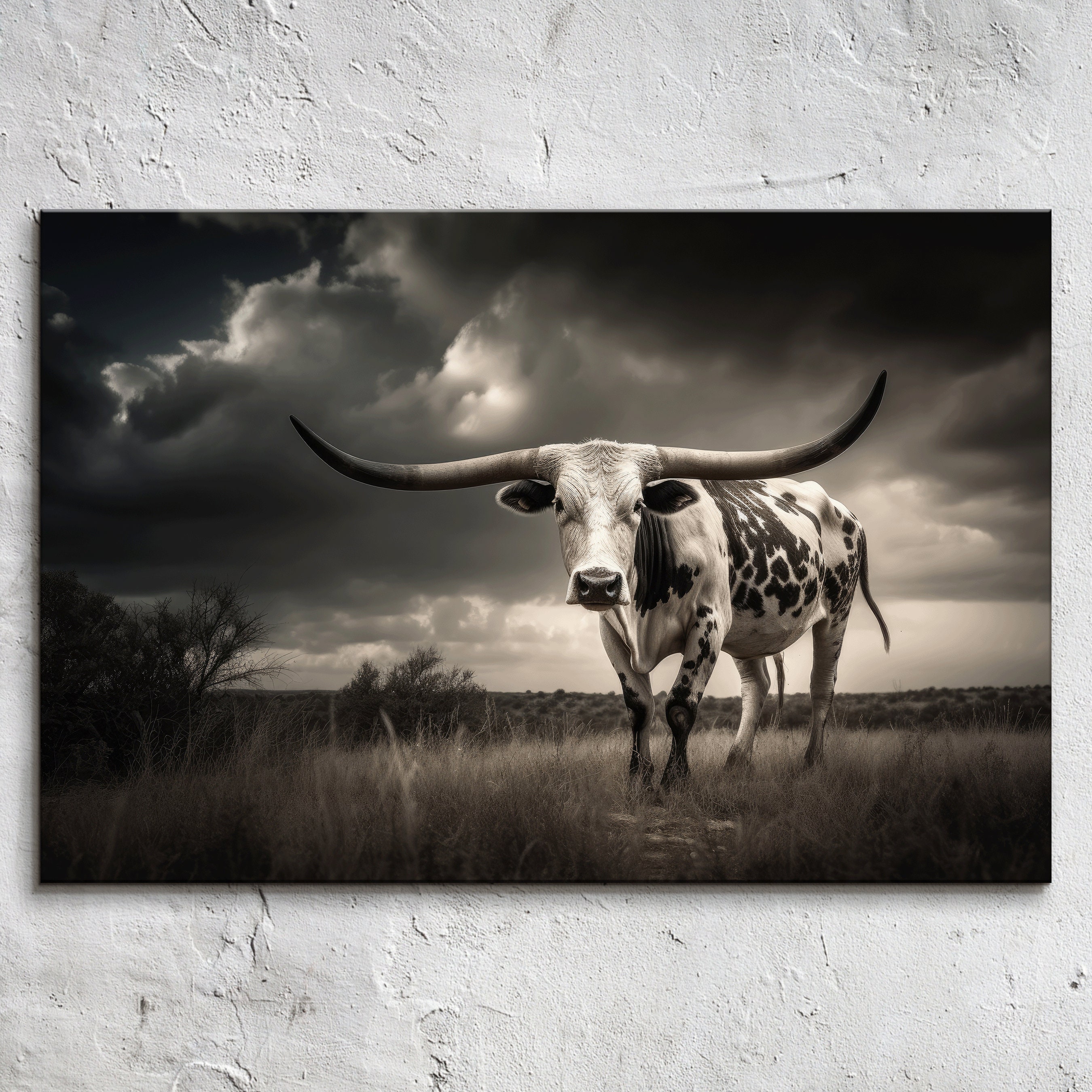 Texas Longhorn Cow Canvas Wall Art: Dark Dramatic Animal Print