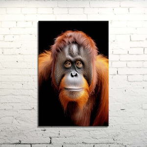 Bornean Orangutan Portrait Endangered Species Canvas Print or Wall Poster for Animal Lovers, Wildlife & Modern Inspired Home Decor