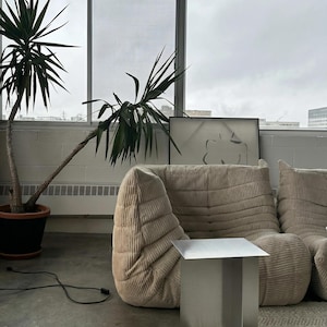May include: A modern living room scene featuring a beige corduroy sofa, a small square metal side table, and a potted plant with long green leaves. A framed artwork and a window are in the background. The room has a minimalist aesthetic.