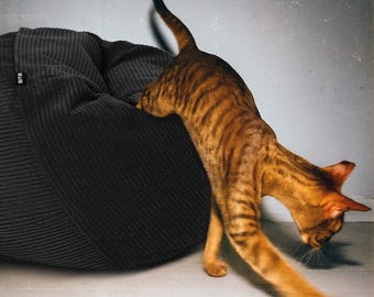 Cama elevada para gatos con forma de donut de grafito, regalo para dueños de perros, cama elevada para perros salchicha, sofá elevado para gatos, cama ortopédica para gatos siameses, cama personalizada para cachorros