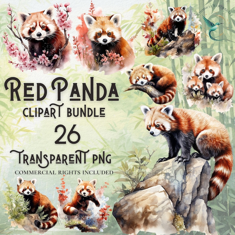 May include: A digital clipart bundle of 26 watercolor illustrations of red pandas in various poses. The illustrations feature red pandas in a bamboo forest setting with green leaves and pink flowers. The text "Red Panda Clipart Bundle 26 Transparent PNG Commercial Rights Included" is displayed on the image.