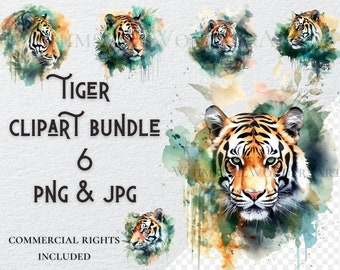 Watercolor Tiger Clipart, Commercial Use (PNG, JPG Digital Download)