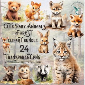 Lot de 24 cliparts animaux de la forêt mignon téléchargement numérique PNG haute qualité usage commercial papier numérique renard loup hérisson cerf