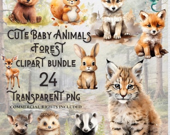 Cute Forest Animal Clipart Bundle, Commercial Use (PNG Digital Download)
