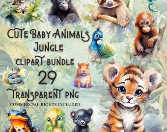 Jungle clipart bundle 29 high quality PNG digital download commercial use digital paper crafting projects transparent background