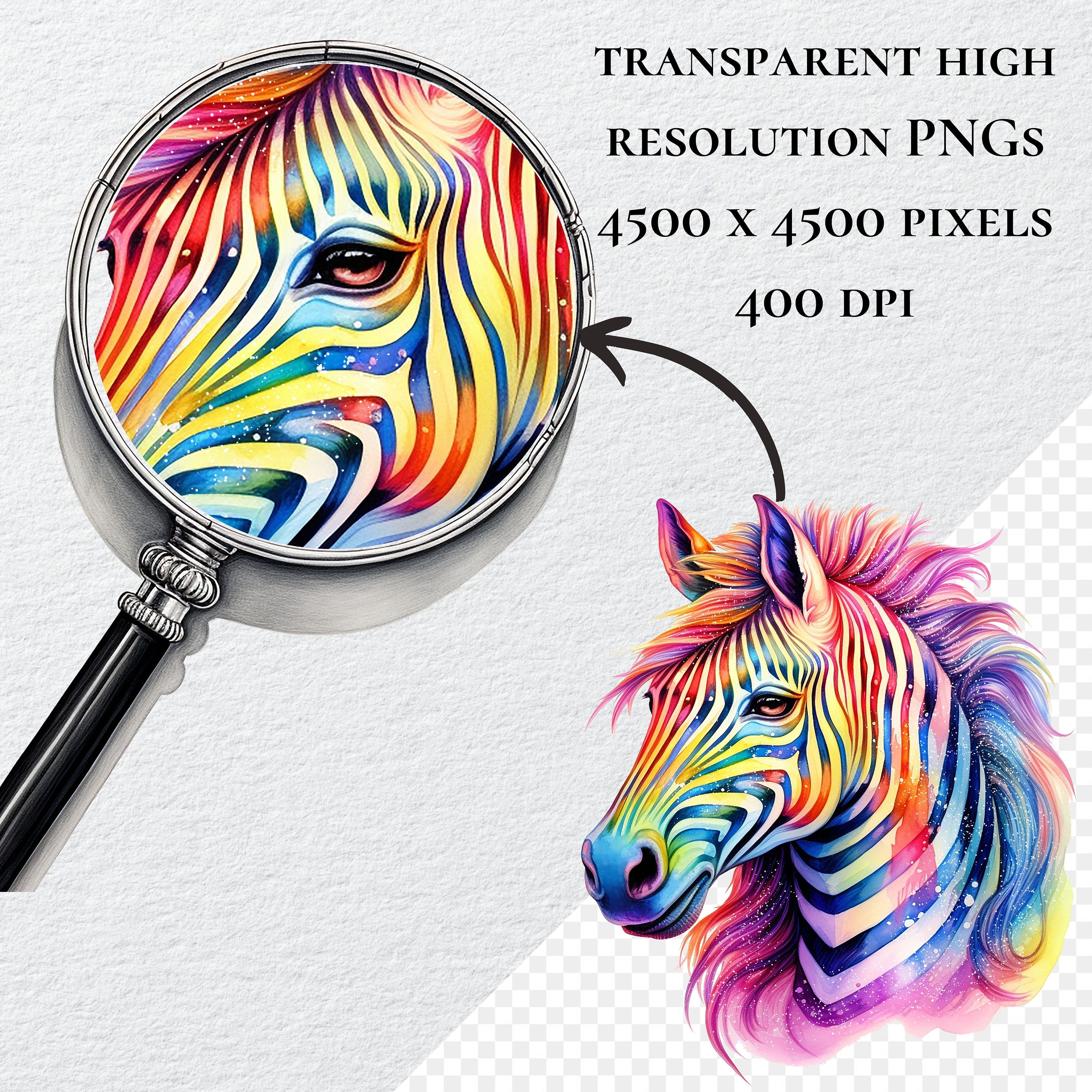 Watercolor Rainbow Zebra Clipart Bundle High Quality Png Etsy