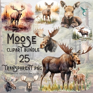 Aquarell Elch Clipart-Bundle hoher Qualität PNG digitaler Download kommerzielle Nutzung digitales Papier Basteln transparenten Hintergrund