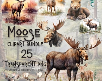 Watercolor Moose clipart bundle high quality PNG digital download commercial use digital paper crafting transparent background