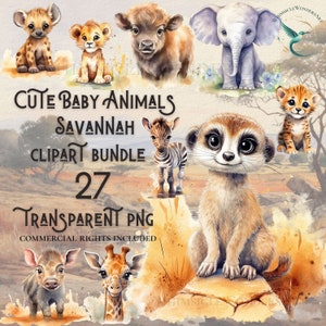 Savannah Clipart Bundle 27 hoher Qualität PNG digitaler Download kommerzielle Nutzung digitales Papier Bastelprojekte transparenten Hintergrund