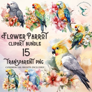 Pacchetto clipart pappagallo acquerello 15 download digitale PNG di alta qualità per uso commerciale progetti di creazione di carta digitale sfondo trasparente