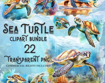Watercolor seaturtle clipart bundle high quality PNG digital download commercial use digital paper crafting projects transparent background