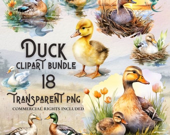 Watercolor Duck clipart bundle high quality PNG digital download commercial use digital paper crafting projects transparent background
