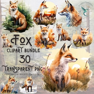 Bundle de clipart renard aquarelle haute qualité PNG en téléchargement numérique à usage commercial projets d'artisanat en papier fond transparent