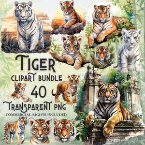 Bundle de cliparts tigre aquarelle haute qualité PNG en téléchargement numérique à usage commercial projets d'artisanat en papier fond transparent