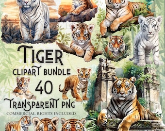 Aquarell Tiger Clipart Bundle: 40 PNG-Bilder (Digitaler Download)