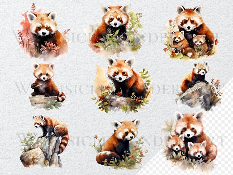 May include: Nine watercolor illustrations of red pandas in various poses. Some are sitting, some are standing, and some are with their young. The illustrations are set against a white background with watercolor washes of green and brown.