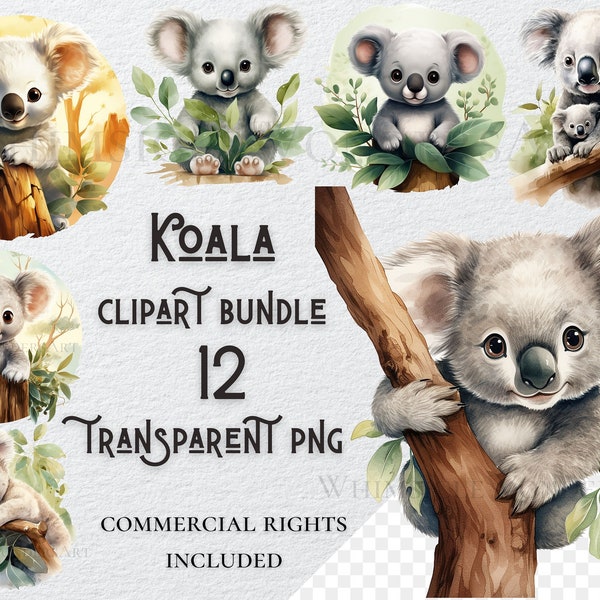 Watercolor koala clipart bundle high quality PNG digital download commercial use digital paper crafting projects transparent background