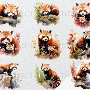 May include: A watercolor painting of nine red pandas. Some of the red pandas are sleeping, while others are standing or sitting. The red pandas are surrounded by green leaves and flowers.