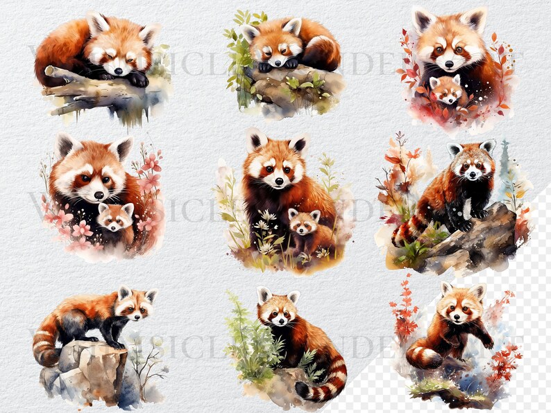 May include: A watercolor painting of nine red pandas. Some of the red pandas are sleeping, while others are standing or sitting. The red pandas are surrounded by green leaves and flowers.