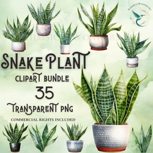 Paquete de imágenes prediseñadas de planta de serpiente de acuarela de alta calidad PNG descarga para uso comercial proyectos de manualidades con papel digital fondo transparente