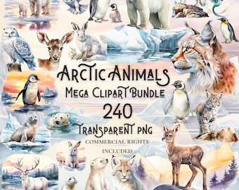 May include: A digital clipart bundle of 240 watercolor illustrations of arctic animals. The illustrations include polar bears, penguins, seals, foxes, owls, reindeer, and more. The illustrations are perfect for creating invitations, cards, scrapbook pages, and other crafts.
