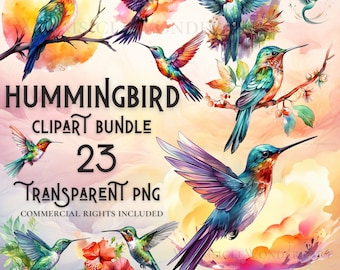 Paquete de imágenes prediseñadas de colibrí en acuarela, PNG, para uso comercial (descarga digital)
