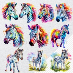 Watercolor Rainbow Zebra Clipart Bundle High Quality Png Digital