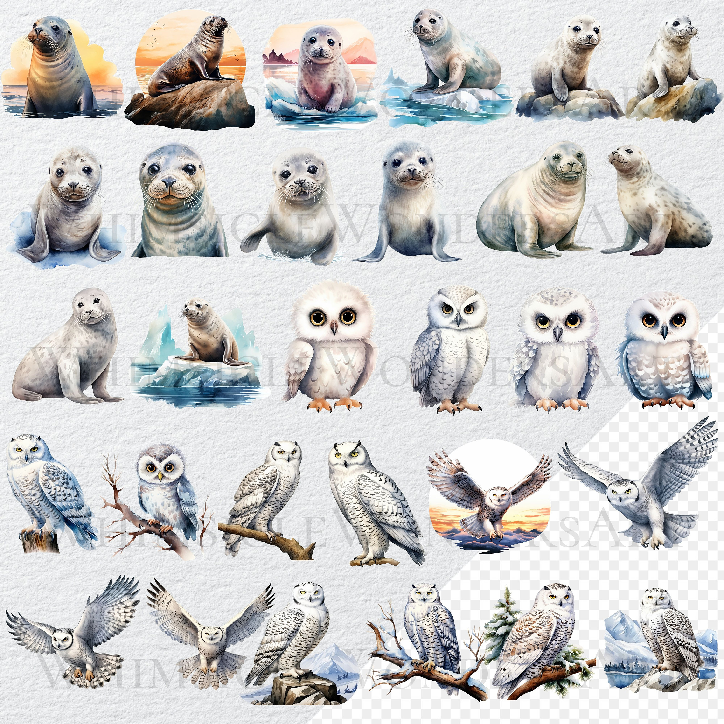 Watercolor Arctic Animals Clipart Bundle, PNG, Commercial Use (digital ...