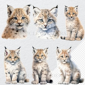 Watercolor Lynx Clipart Bundle High Quality PNG Digital Download ...