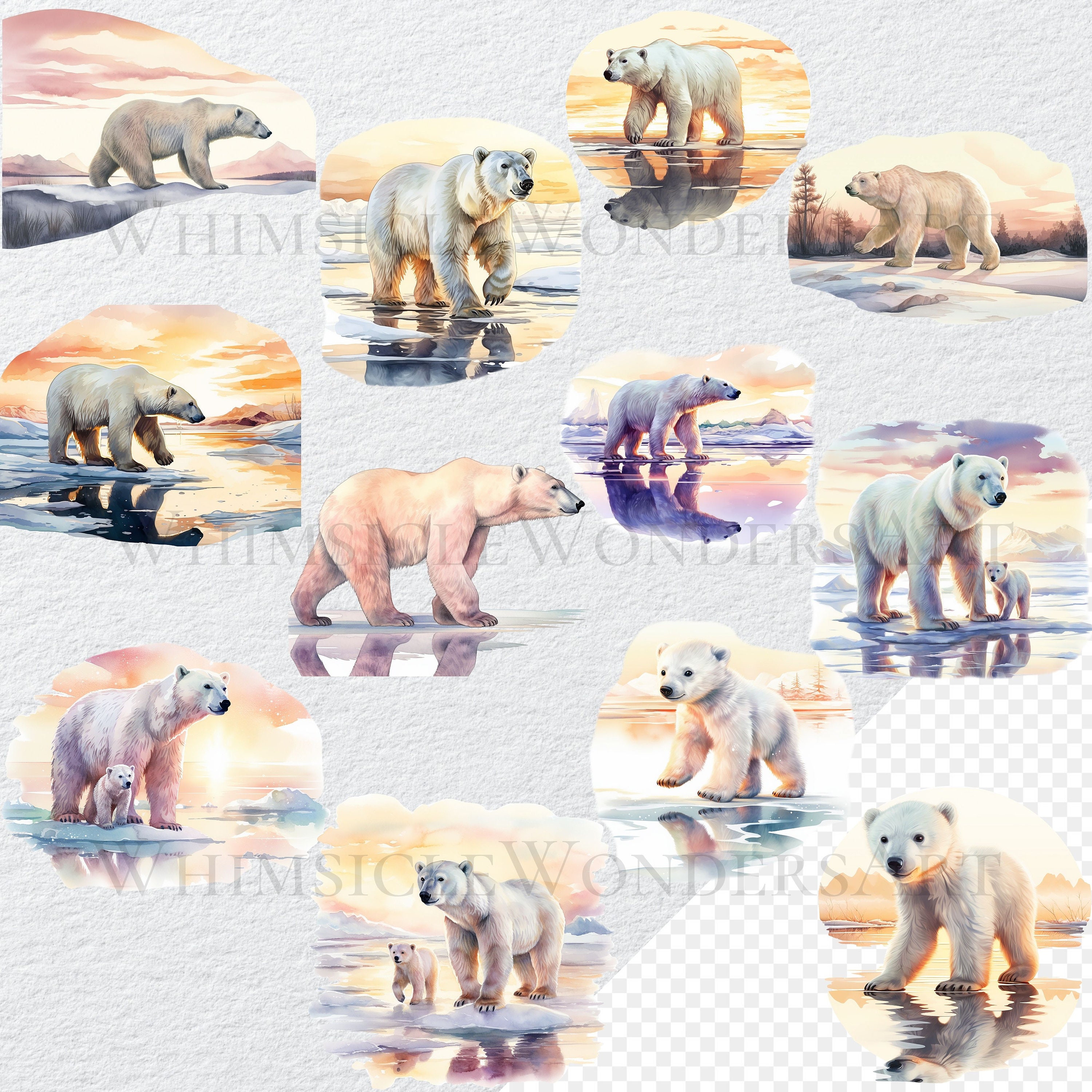 Watercolor Polar Bear Clipart Bundle, Transparent PNG (digital Download ...