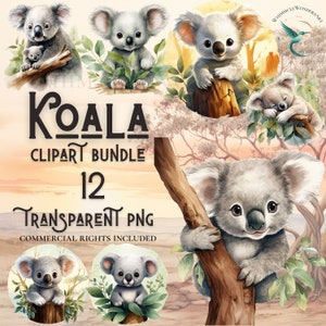 Pacchetto di clipart koala acquerello download digitale PNG di alta qualità uso commerciale progetti di creazione di carta digitale sfondo trasparente